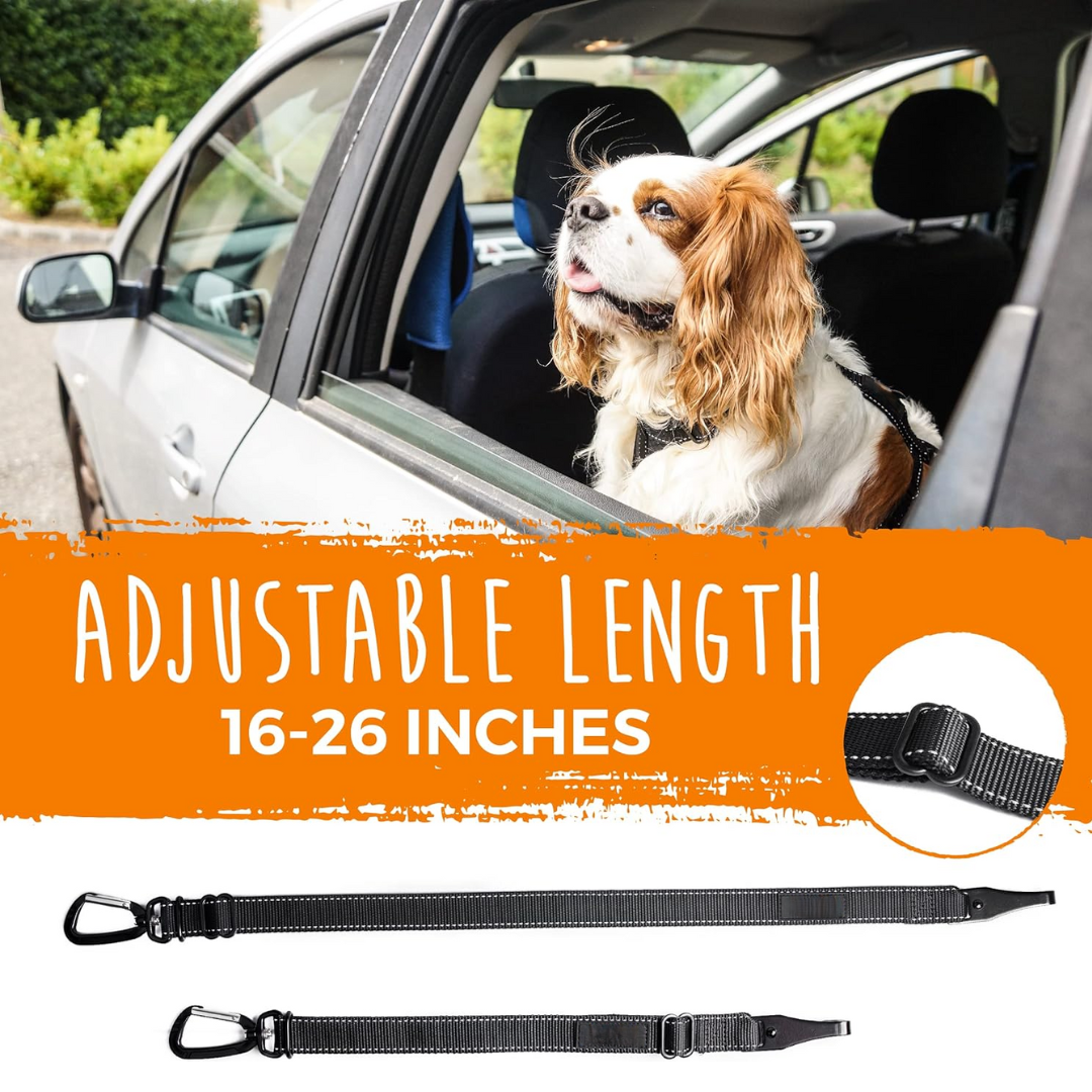 Dog Safety Harness – Secure Your Pet in Seconds!