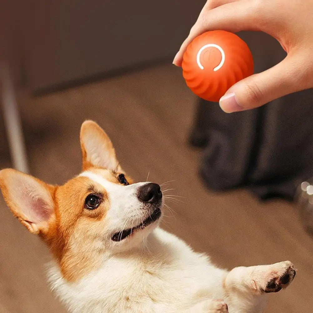 Automatic Interactive Dog Toy - RolliPlay