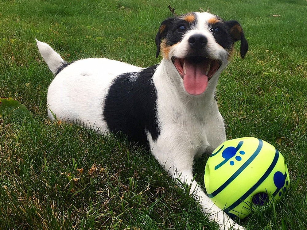 Interactive Play Ball for Dogs - GiggleSphere