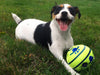 Interactive Play Ball for Dogs - GiggleSphere