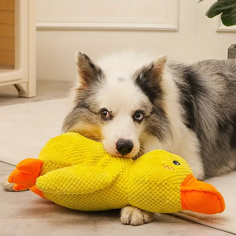 Interactive Dog Toy with Sound & Dental Care - FlappyDuck