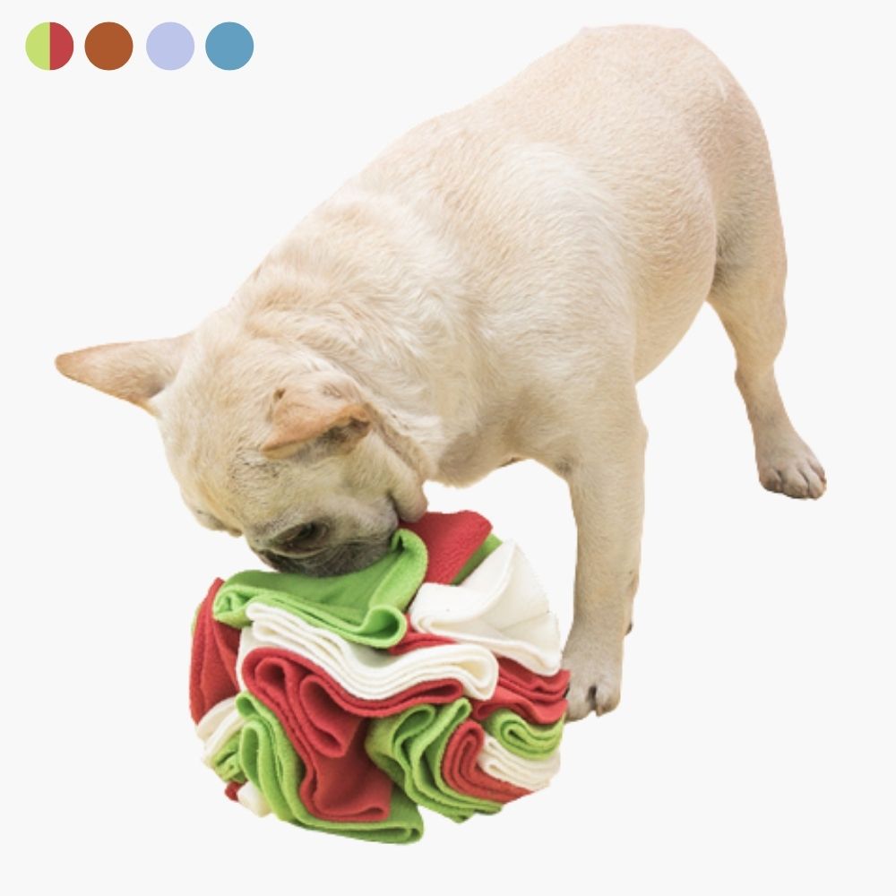 Snuffle Ball for Dogs - PawMaze