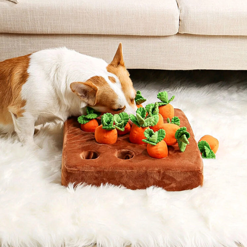 Interactive Snuffle Toy – Snuffle Garden Carrots