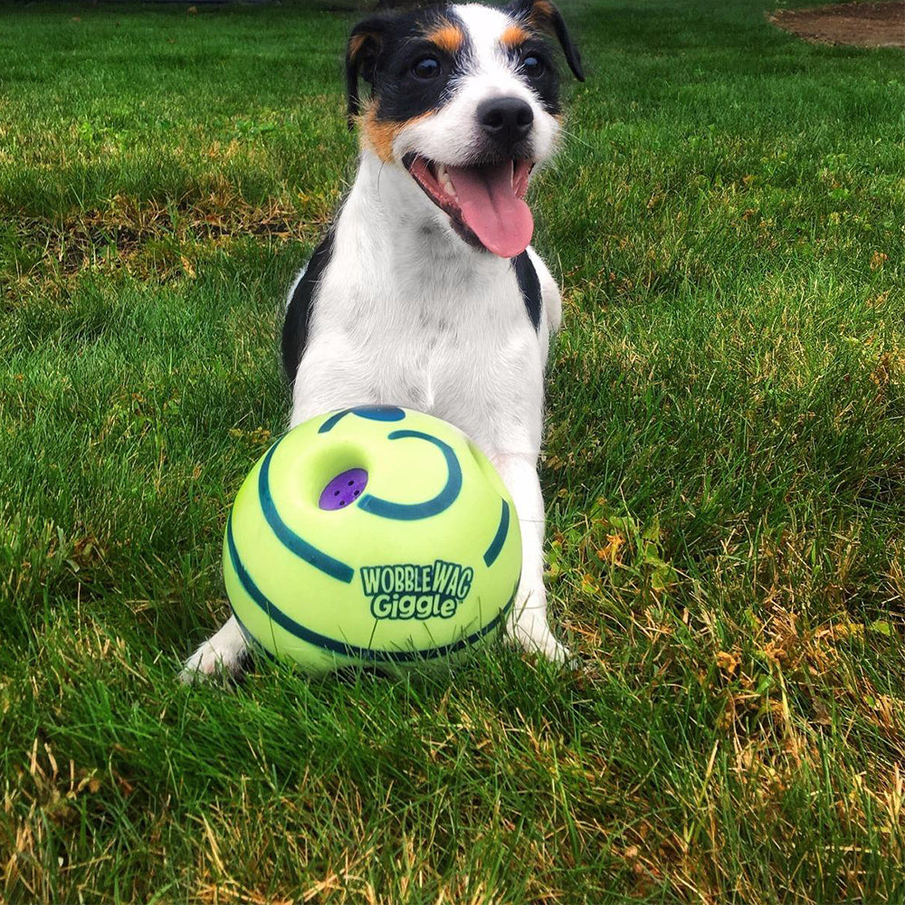 Interactive Play Ball for Dogs - GiggleSphere