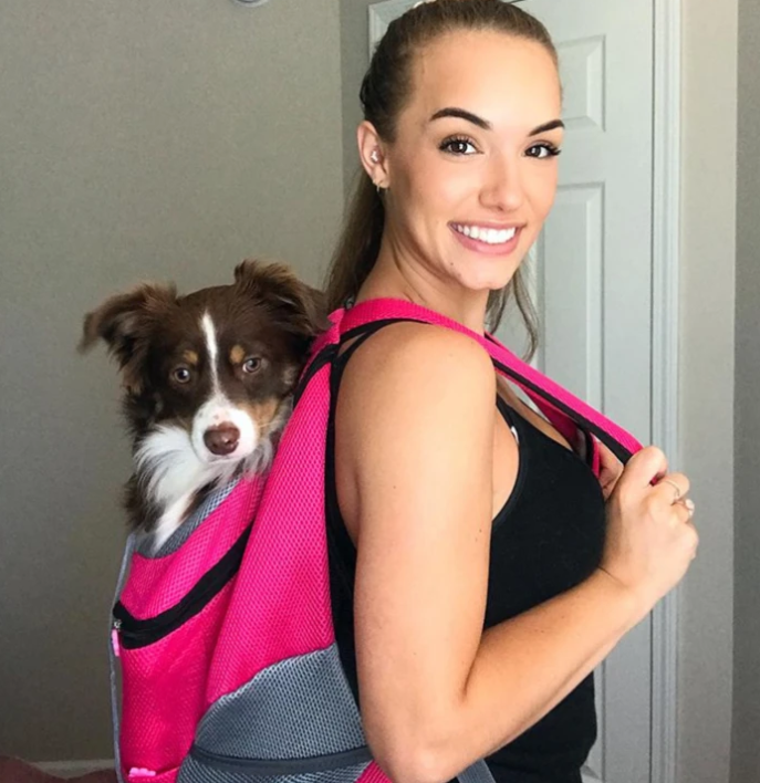 PetAdventure Backpack - Comfortable & Practical