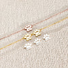 PetAmour Signature Bracelet | Customizable pet jewelry with engraved names