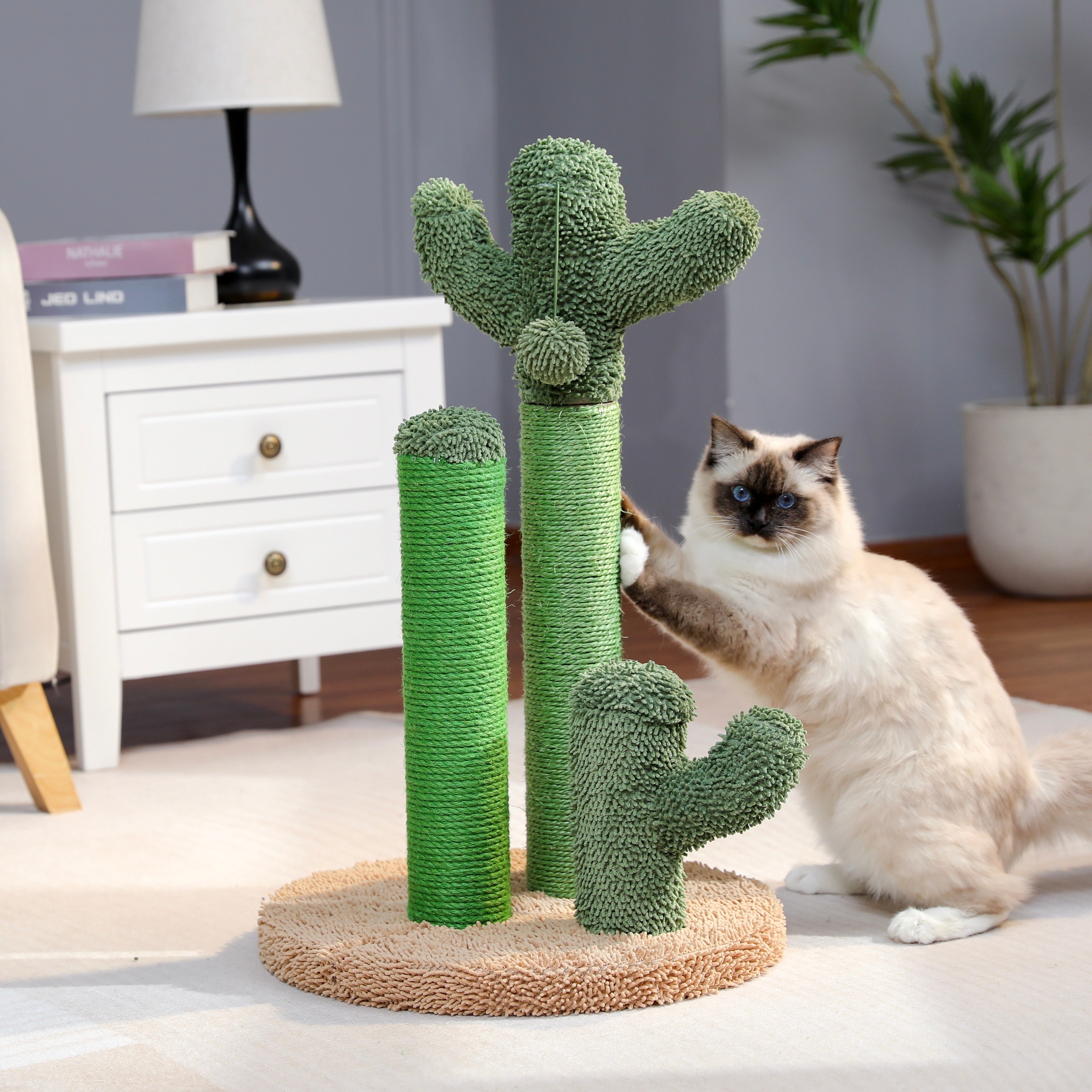 Cat Scratching Cactus – Fun and Functional for Your Cat