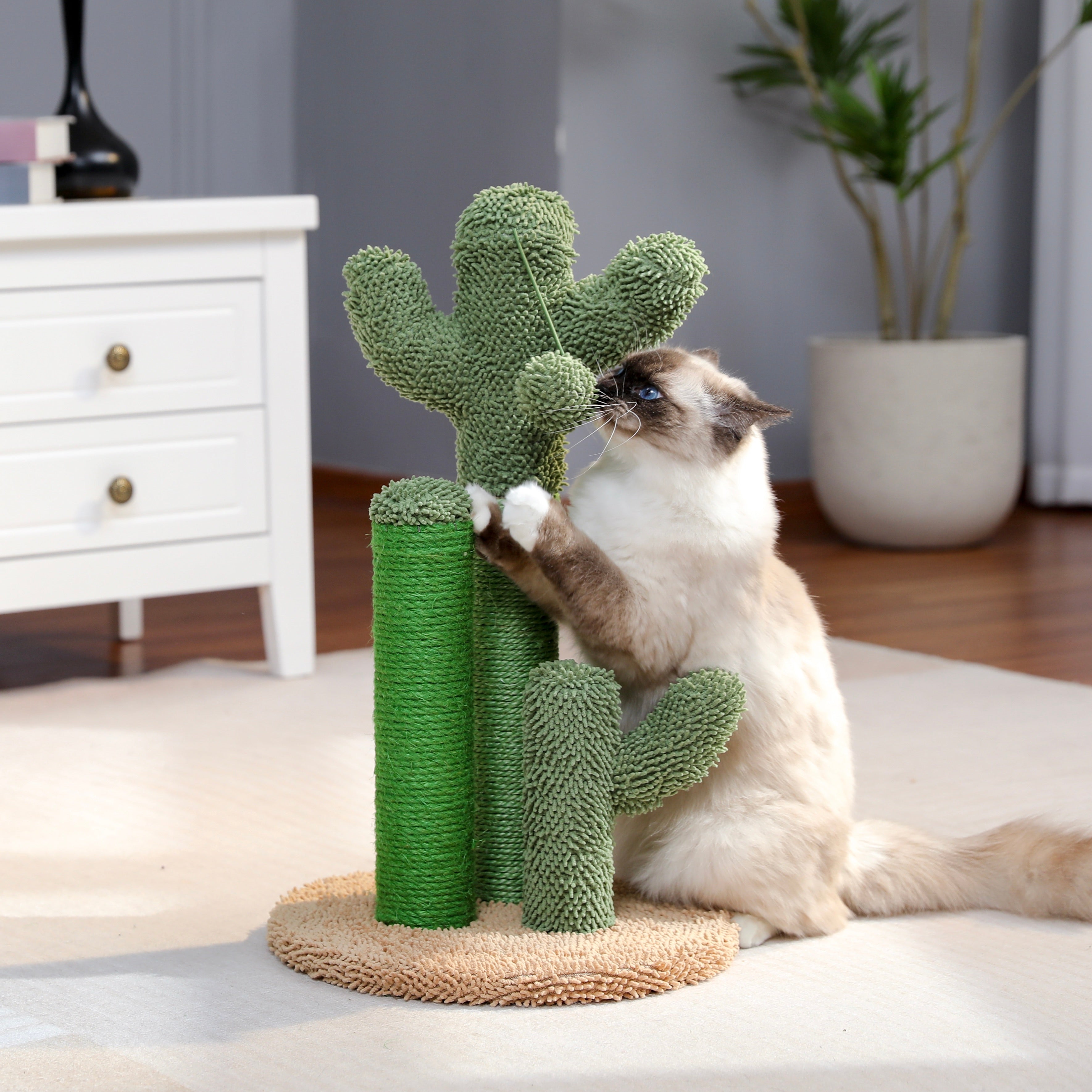 Cat Scratching Cactus – Fun and Functional for Your Cat