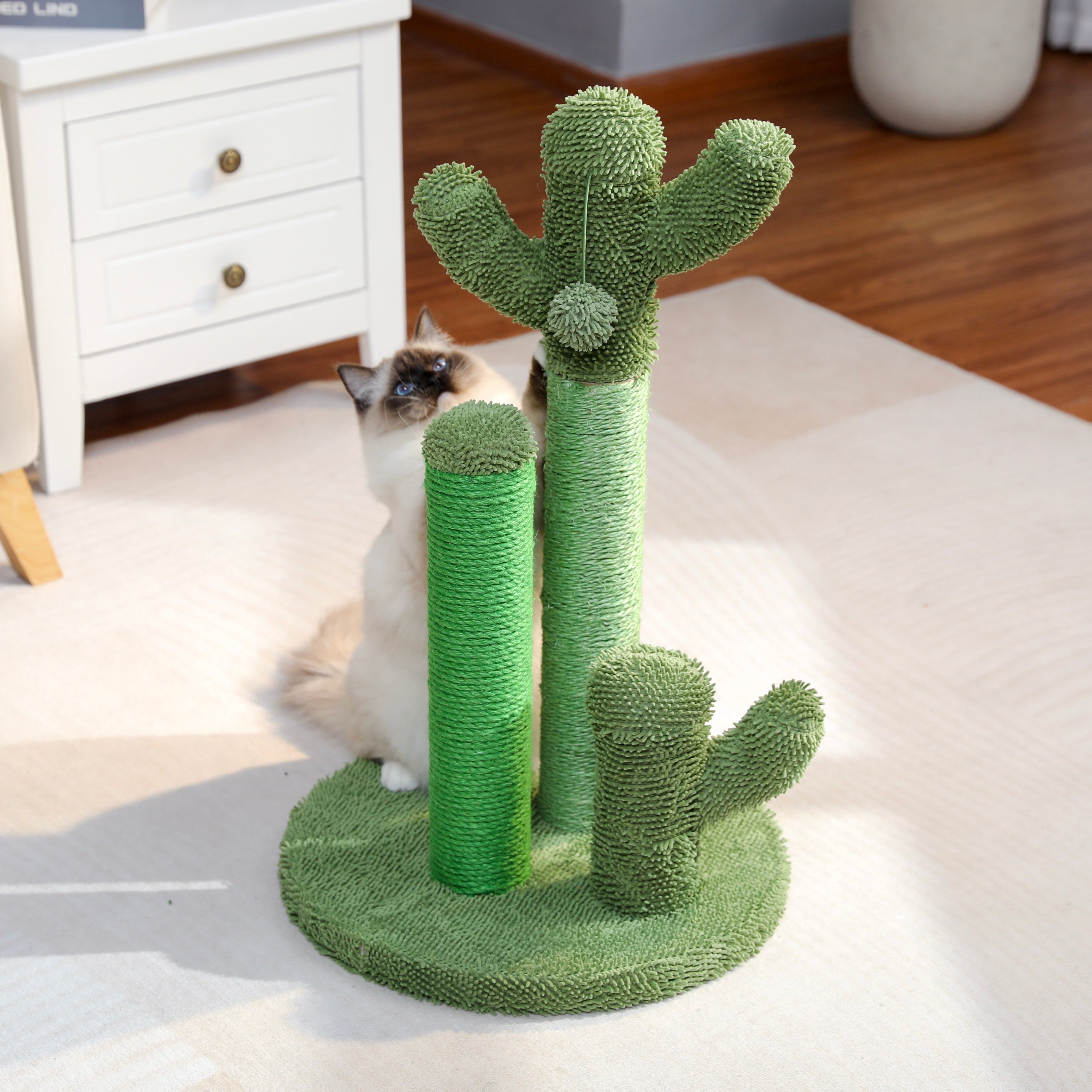 Cat Scratching Cactus – Fun and Functional for Your Cat