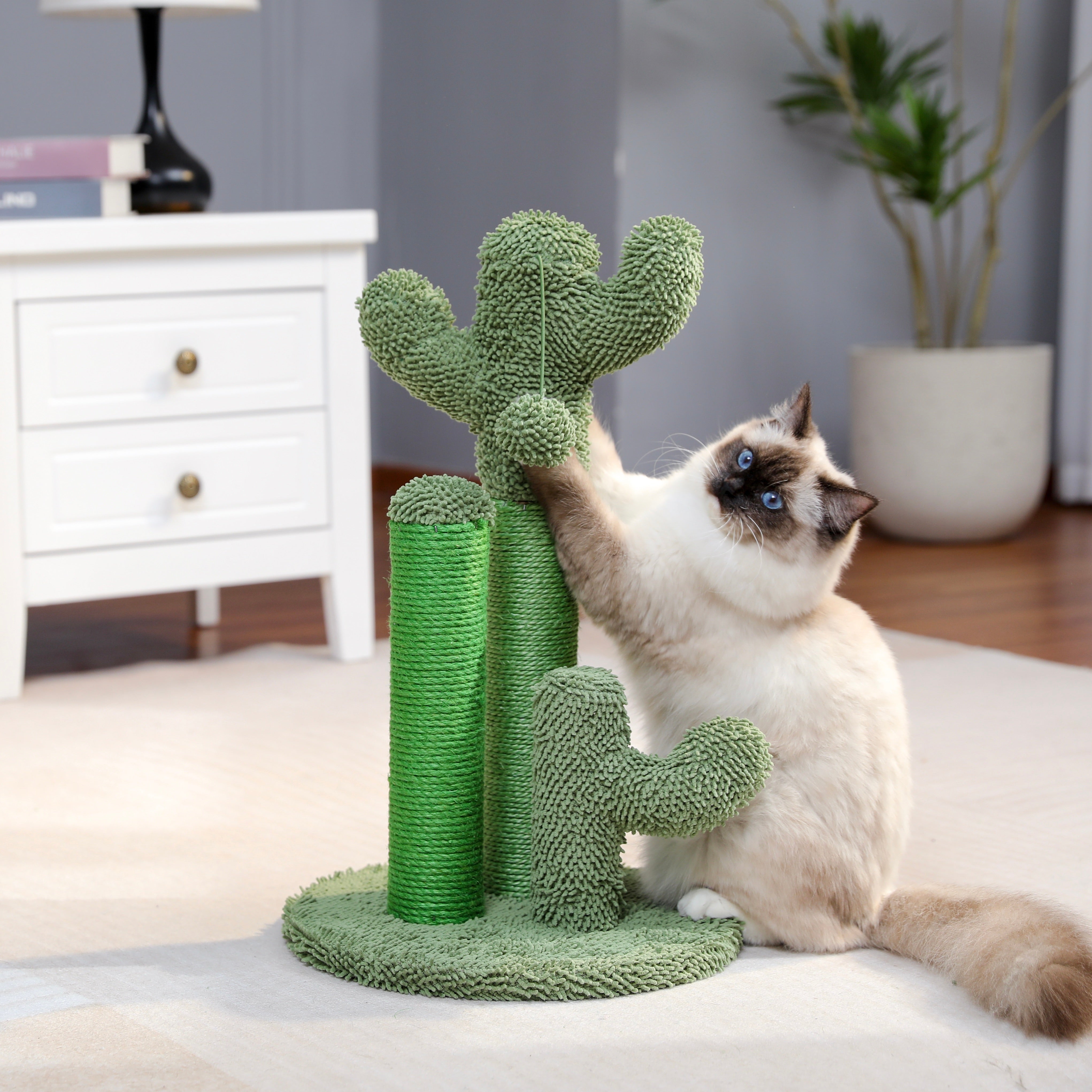 Cat Scratching Cactus – Fun and Functional for Your Cat