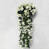 BloomVita Everlasting Orchid Display | Realistic artificial flowers for weddings and events
