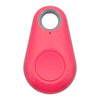 Pet GPS Tag - PawFinder