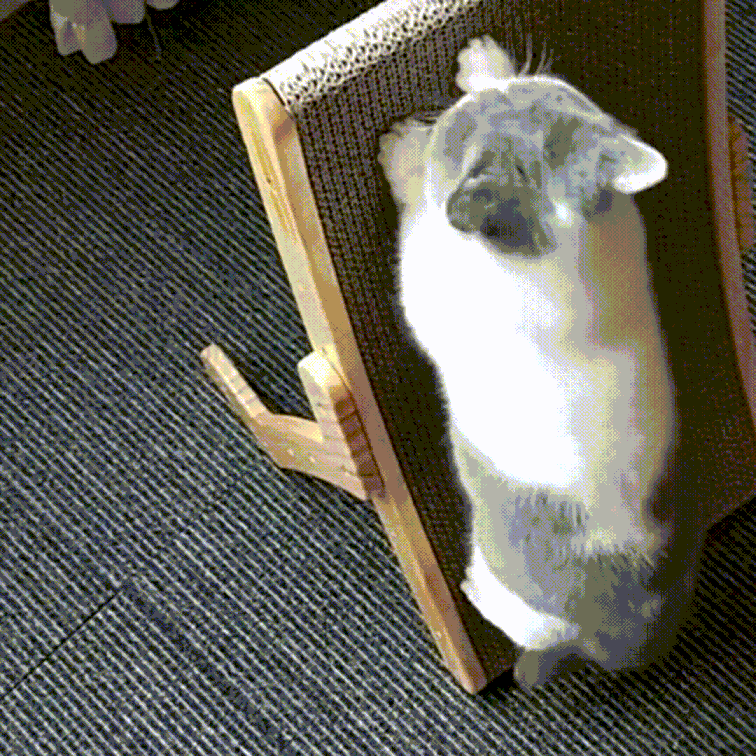 The 3-in-1 Scratching Post and Lounge Chair for Cats – ClawLounge