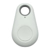 Pet GPS Tag - PawFinder