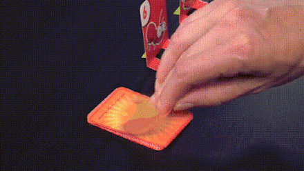 Active Frog Game for Young and Old – FrogFlip