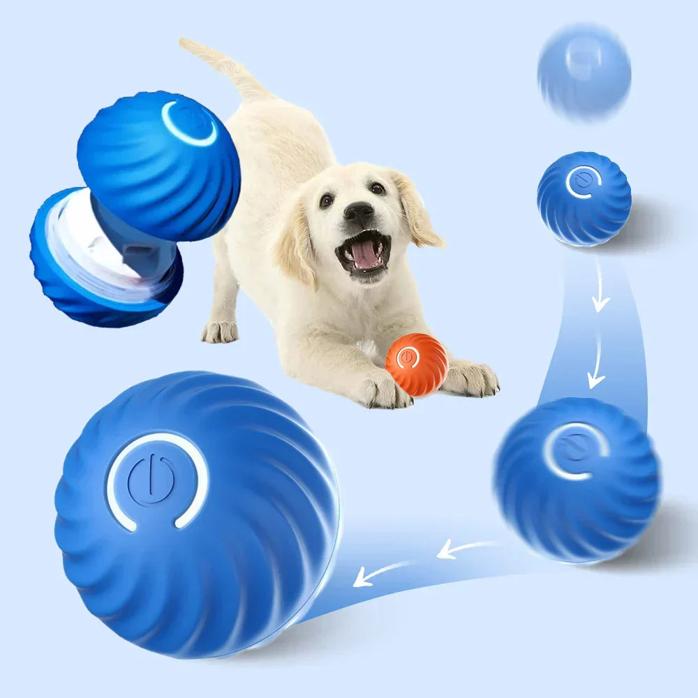Automatic Interactive Dog Toy - RolliPlay
