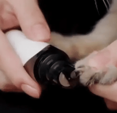 Electric Nail Trimmer for Dogs – PawTrim