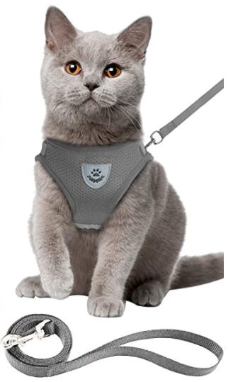 Cat Harness with Lead - Safety & Comfort for Adventures