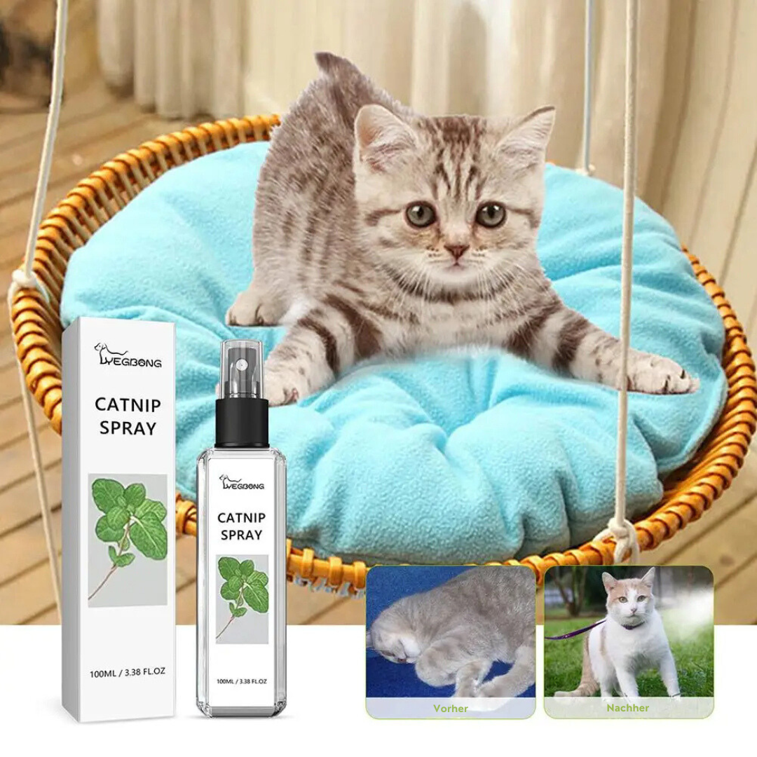Soothing Cat Spray - SilverVine Bliss Spray