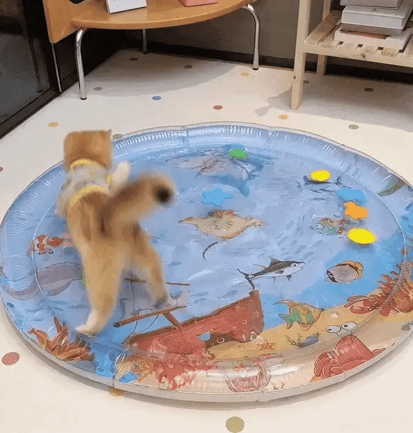 Interactive Cat Play Mat – PurrPulse