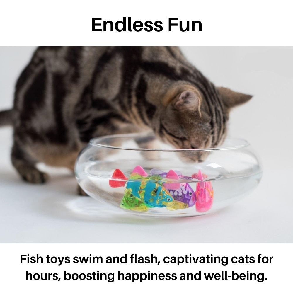 Cat Playset – AquaPurr