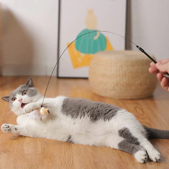 Interactive Cat Toy - FlutterFriend