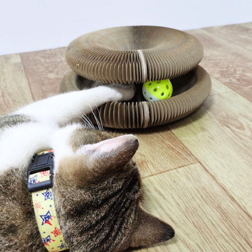 Magical Play and Scratching Toy for Cats - PurrPlay Sphere