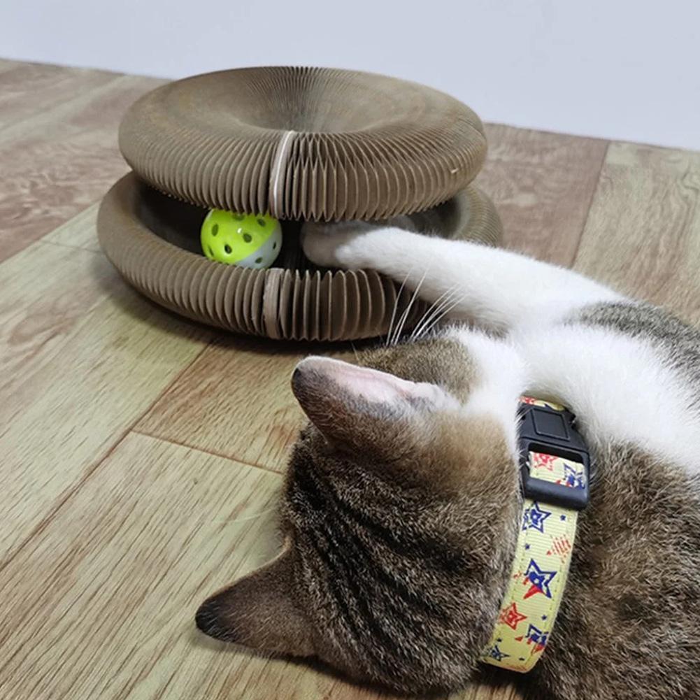 Active Fun for Your Cat - PurrFit