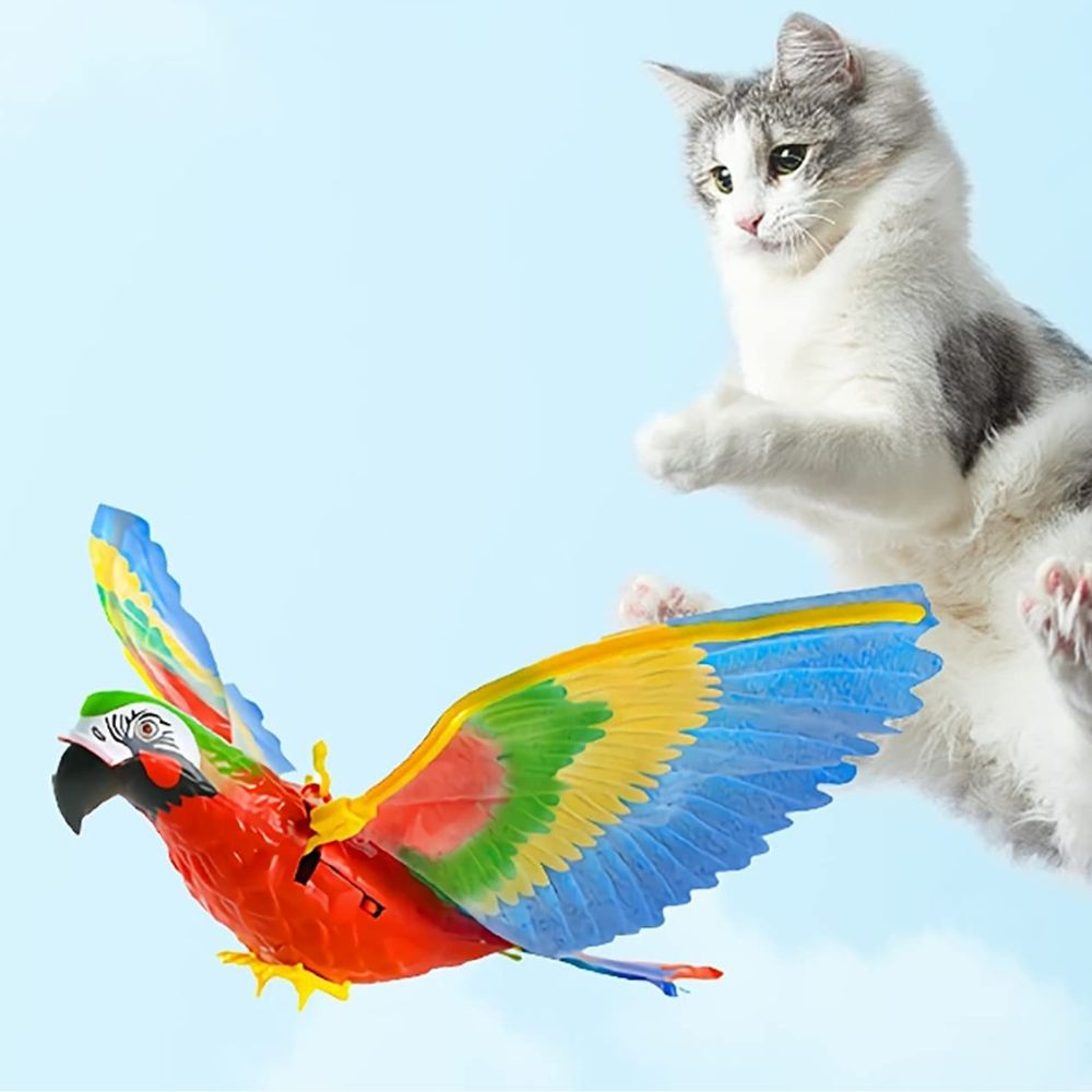 Interactive Cat Toy for Fun and Exercise – FeatherFlight™