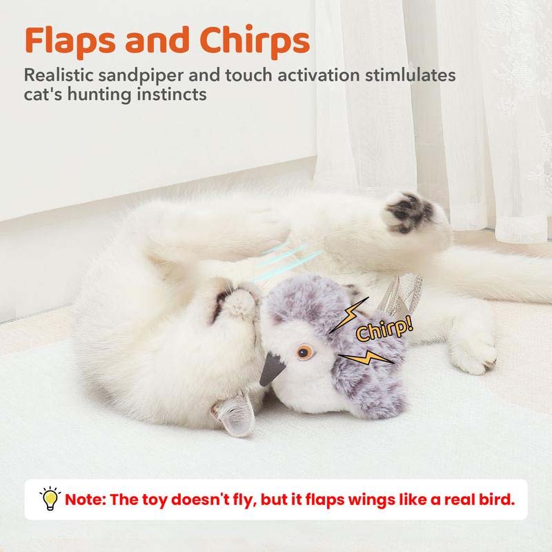 Interactive Cat Toy - ChirpBird