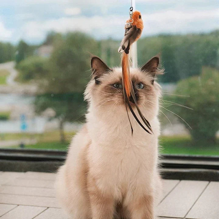 Interactive Cat Toy - FlutterFriend