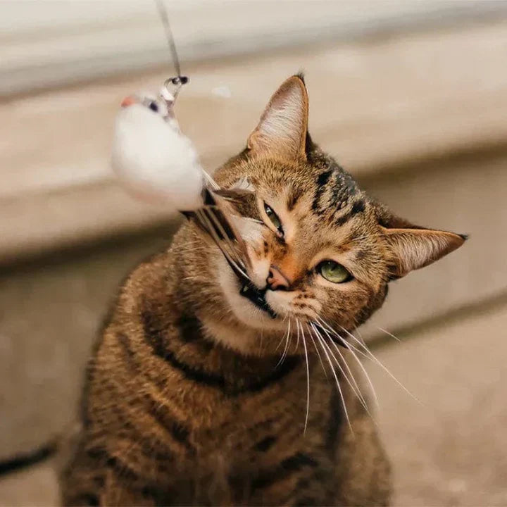 Interactive Cat Toy - FlutterFriend