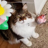 Sizes Interactive Cat Toy – Purrfect Play