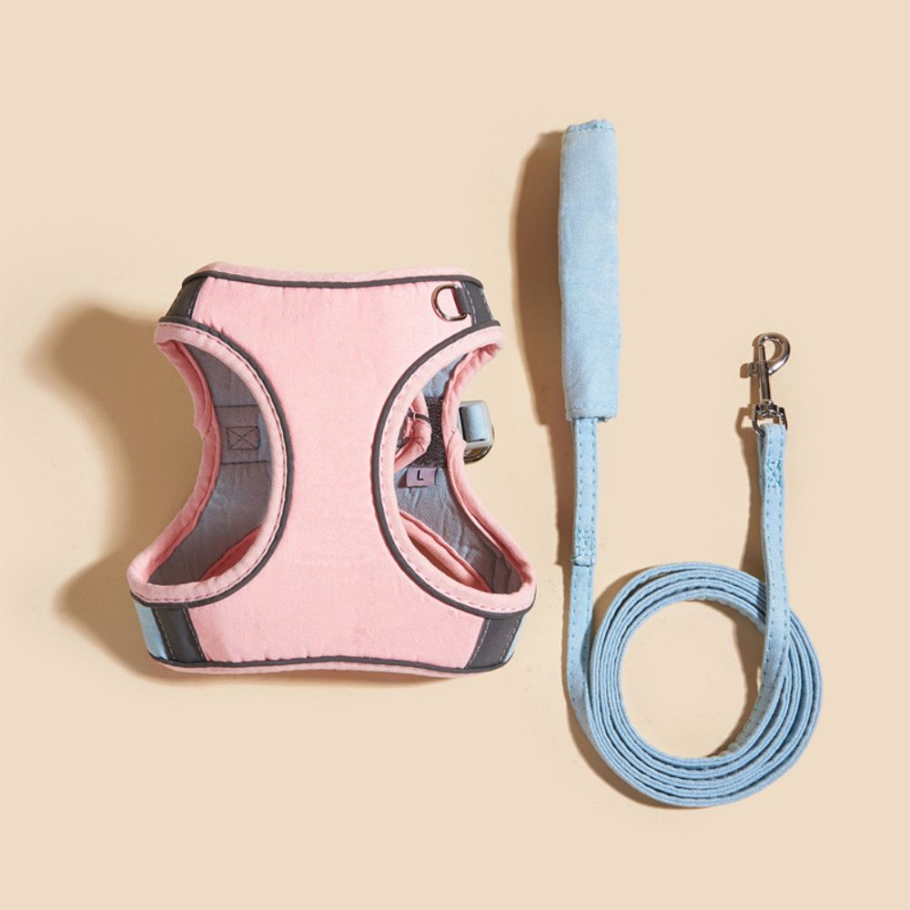 Cat Harness – Oscar