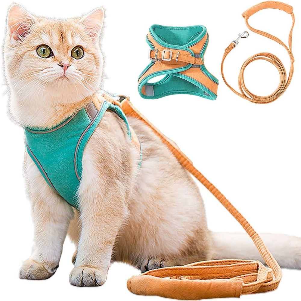 Cat Harness – Oscar