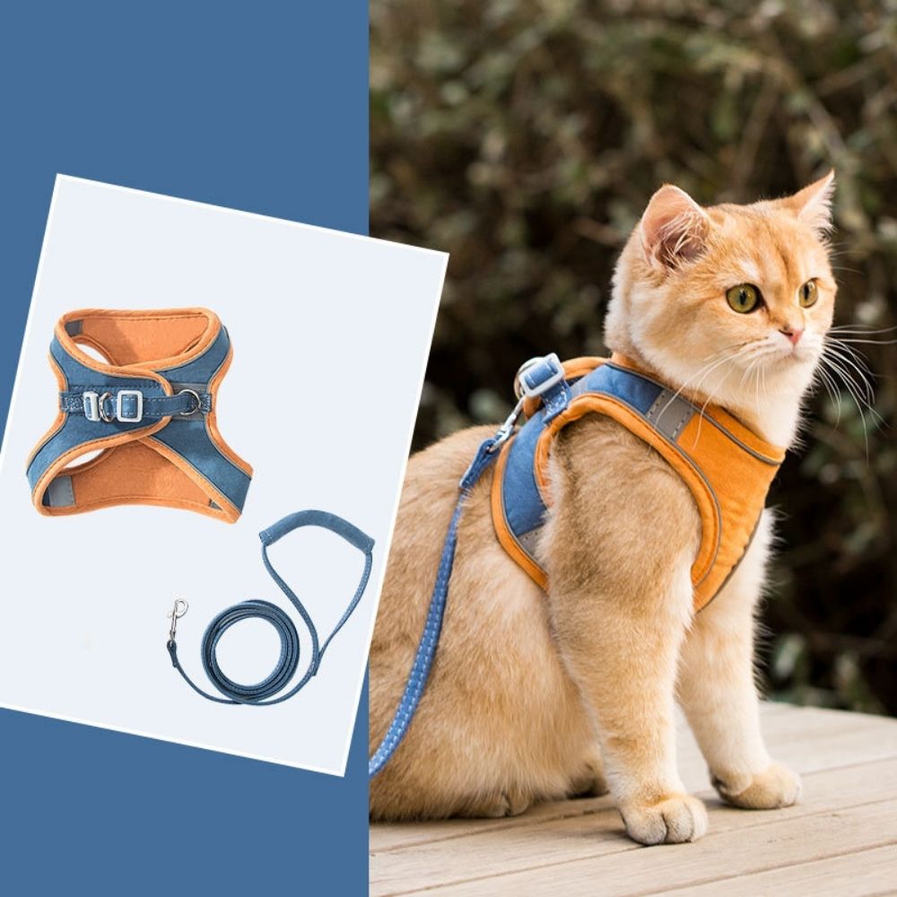 Cat Harness – Oscar