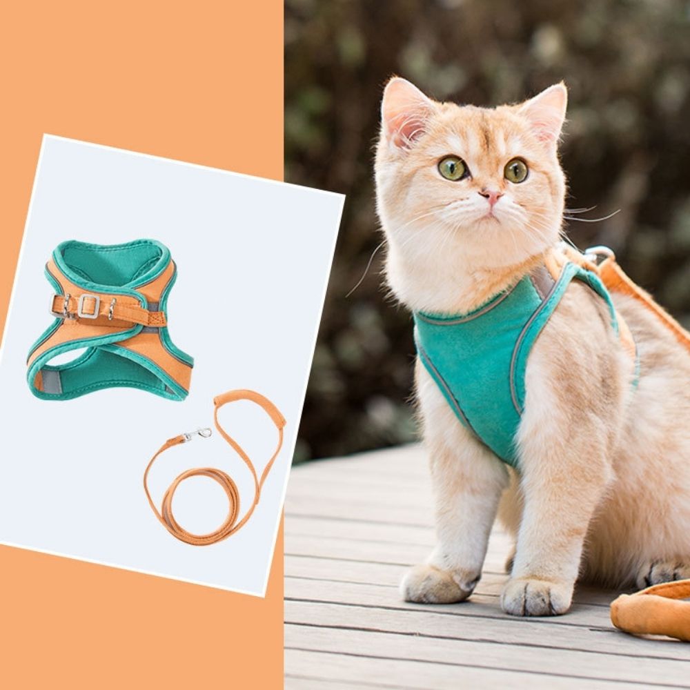 Cat Harness – Oscar