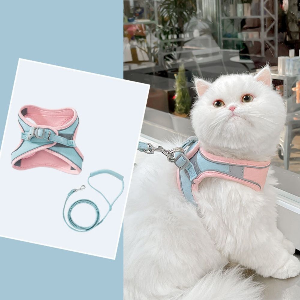 Cat Harness – Oscar