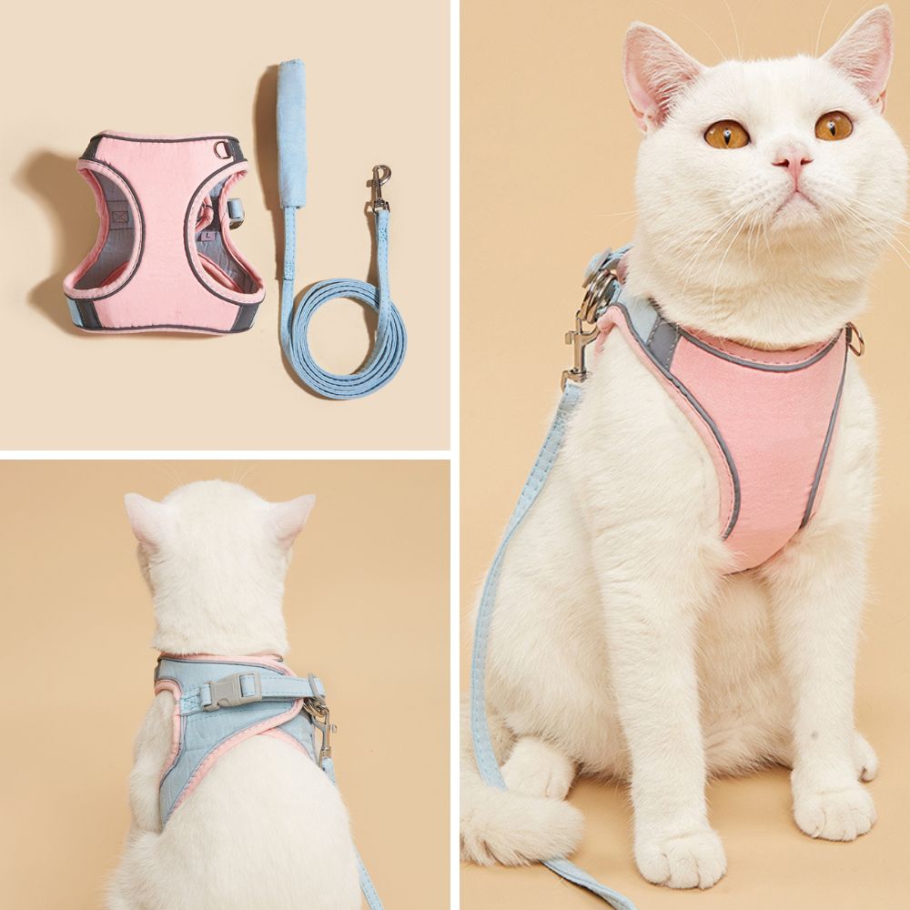Cat Harness – Oscar