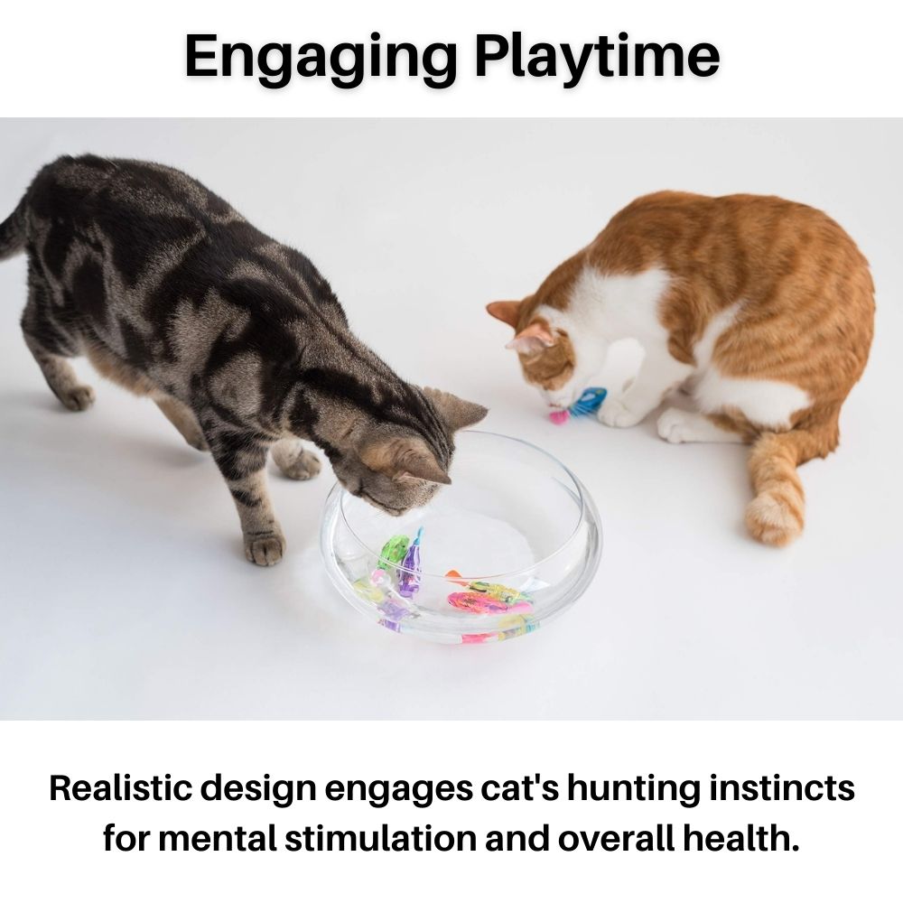 Cat Playset – AquaPurr
