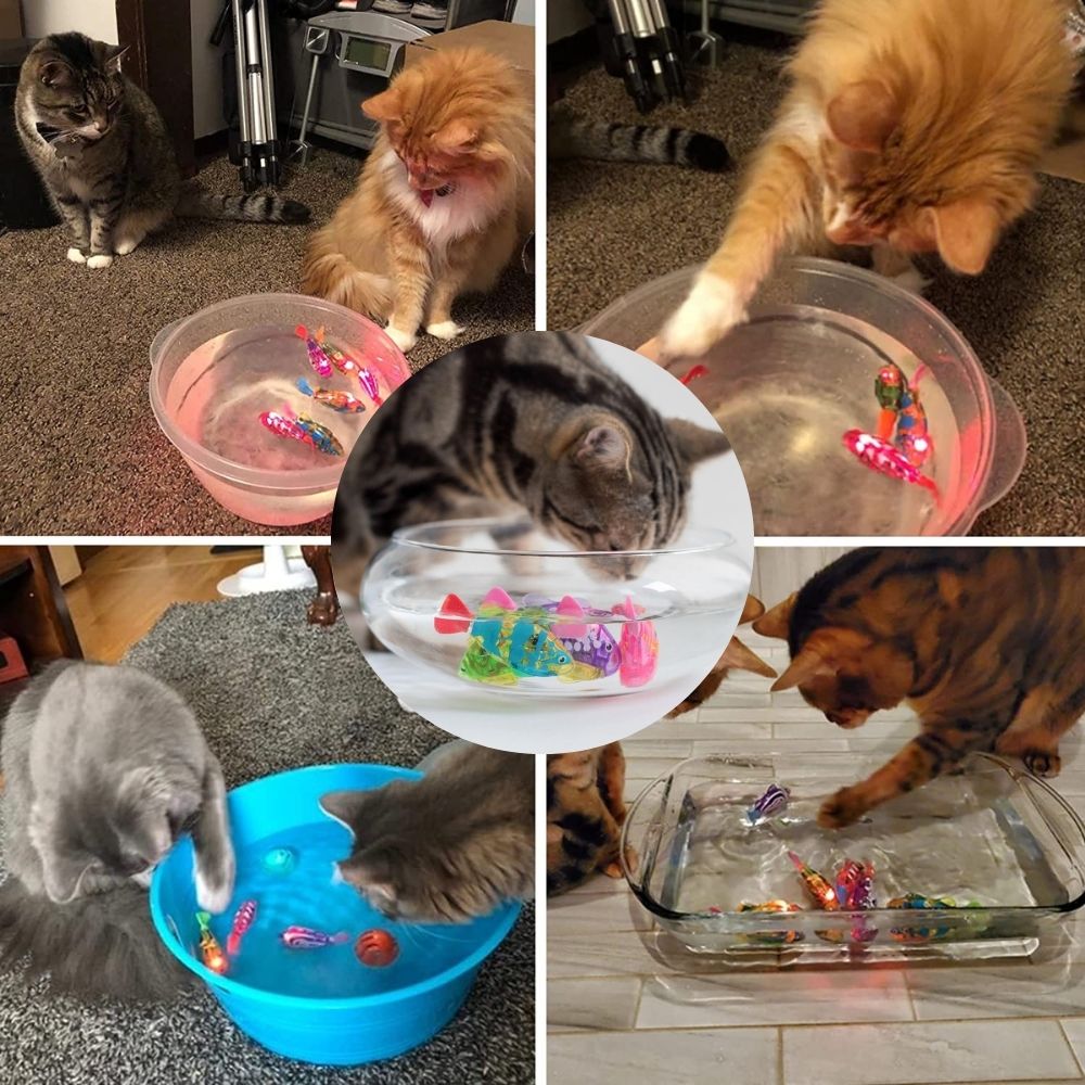 Cat Playset – AquaPurr