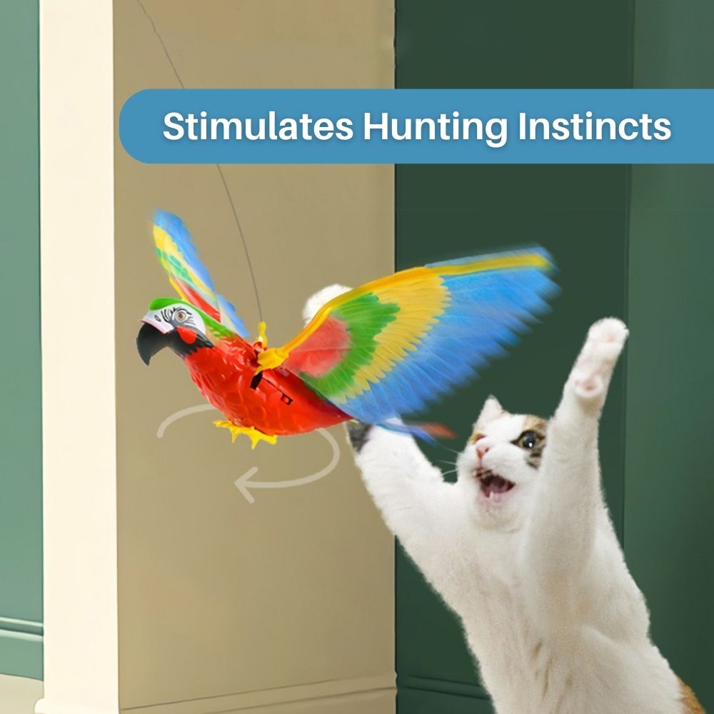Interactive Cat Toy for Fun and Exercise – FeatherFlight™