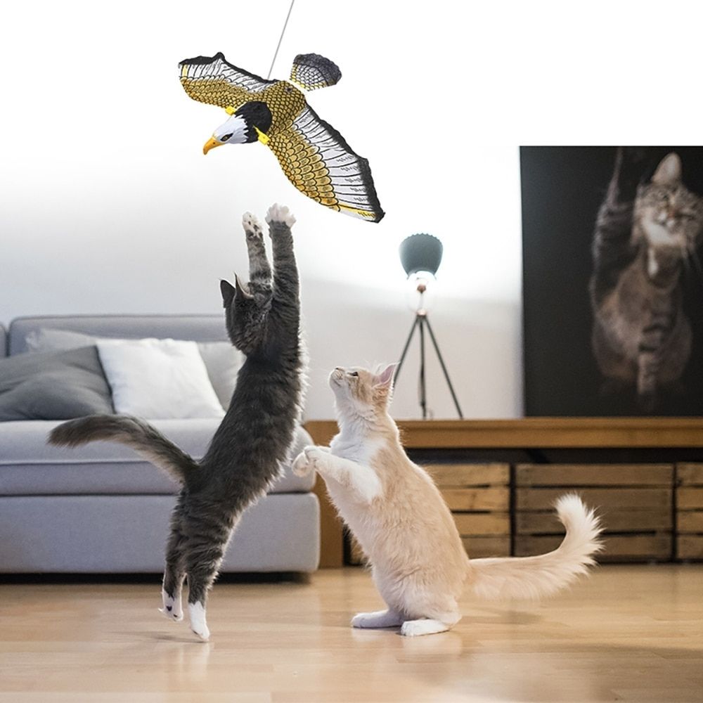 Interactive Cat Toy for Fun and Exercise – FeatherFlight™