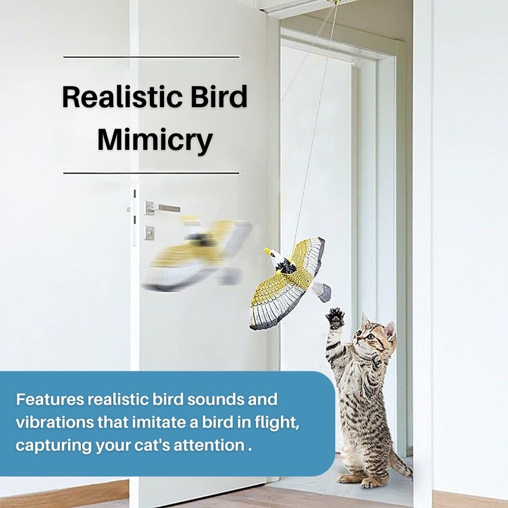 Interactive Cat Toy for Fun and Exercise – FeatherFlight™