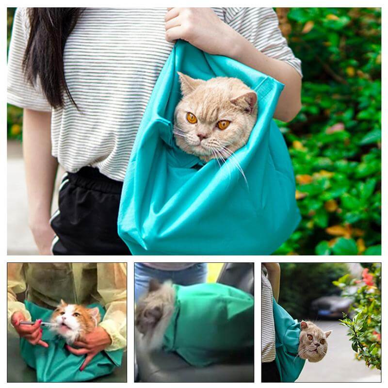 Cat Travel Bag for Comfortable Travel (Buy 1 Get 1 Free) – PurrPorter