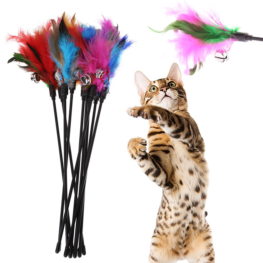 Cat Toy with Feathers (5 Pieces) – FeatherChase