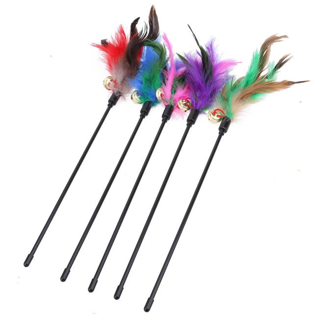 Cat Toy with Feathers (5 Pieces) – FeatherChase