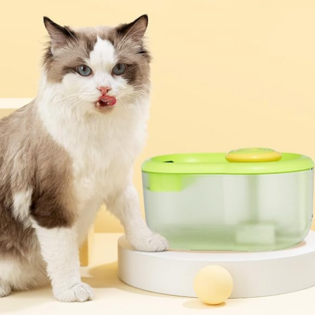Pet Water Fountain with Pump - FunFlow