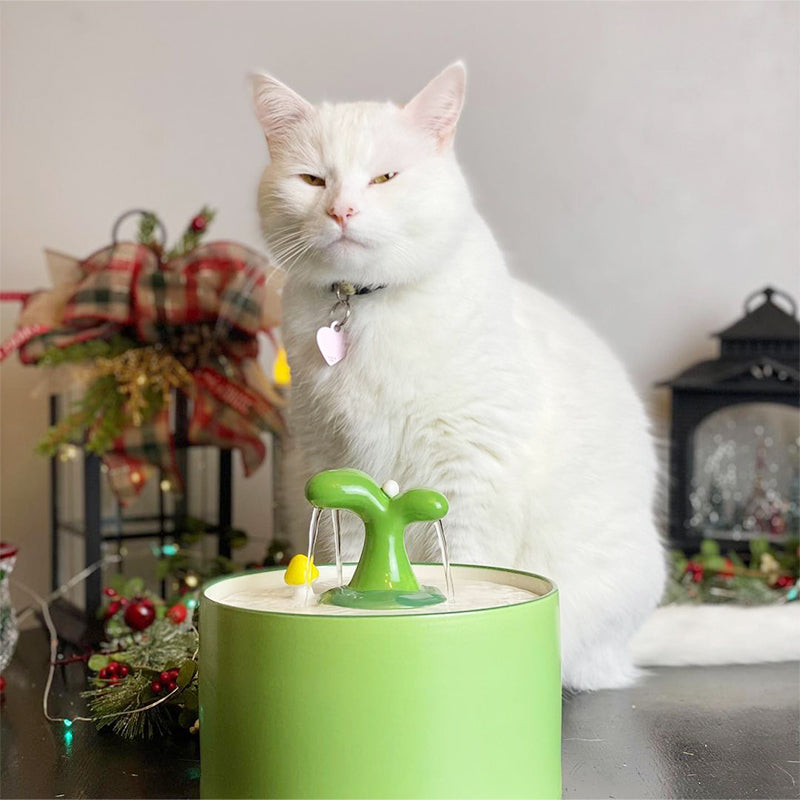 Cat Fountain – SpringFlow™