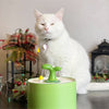 Cat Fountain – SpringFlow™